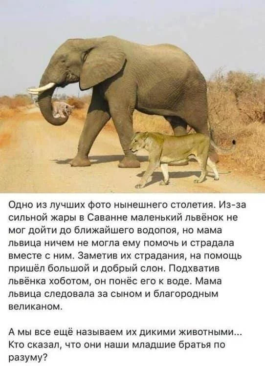 gfcjc6.webp