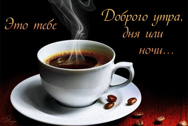 gfd5ea.webp
