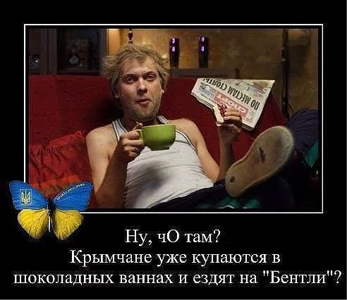 gfdfg3.webp