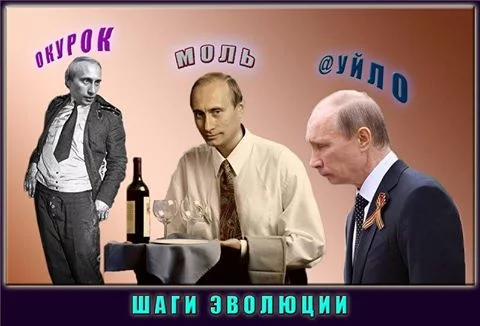 gfdj8d.webp