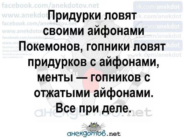 gfef6j.webp