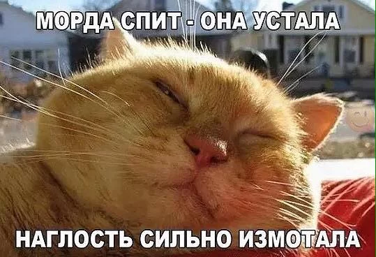 gffdj2.webp