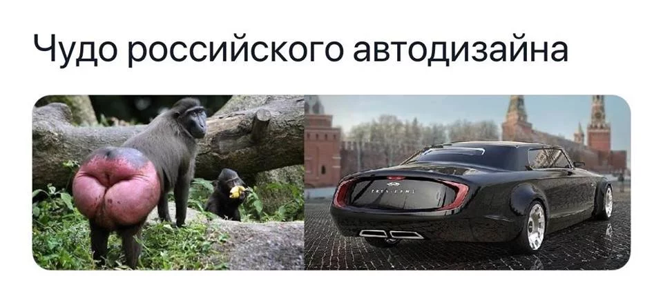 gfg1ch.webp