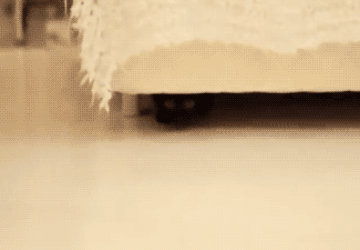 gfg8ce.gif