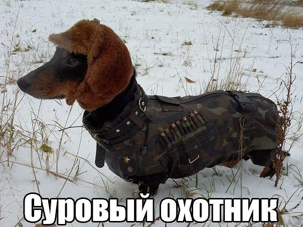gfgf1e.webp