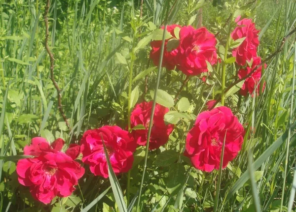 gfhb5h.webp