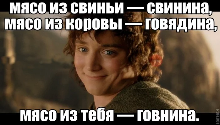 gfjeb6.webp