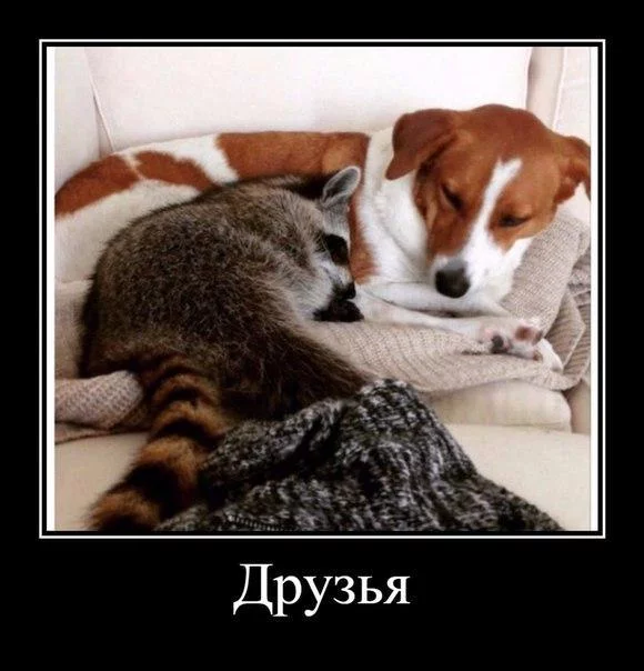 gfrNqsay5no.webp