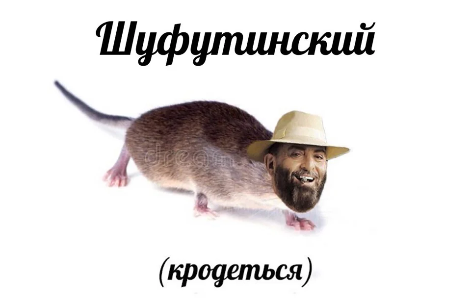 gg5ffh.webp