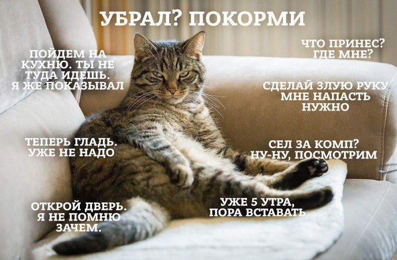 ggfbb5.jpg