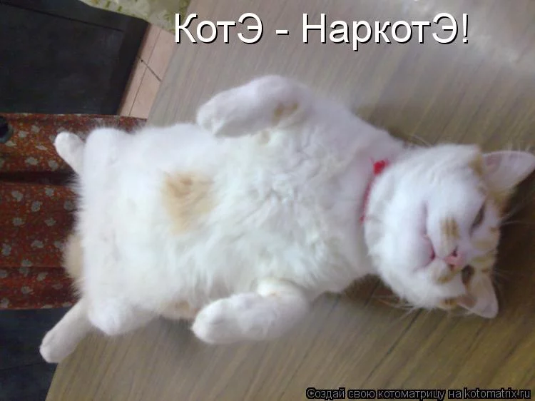 ggjaf5.webp