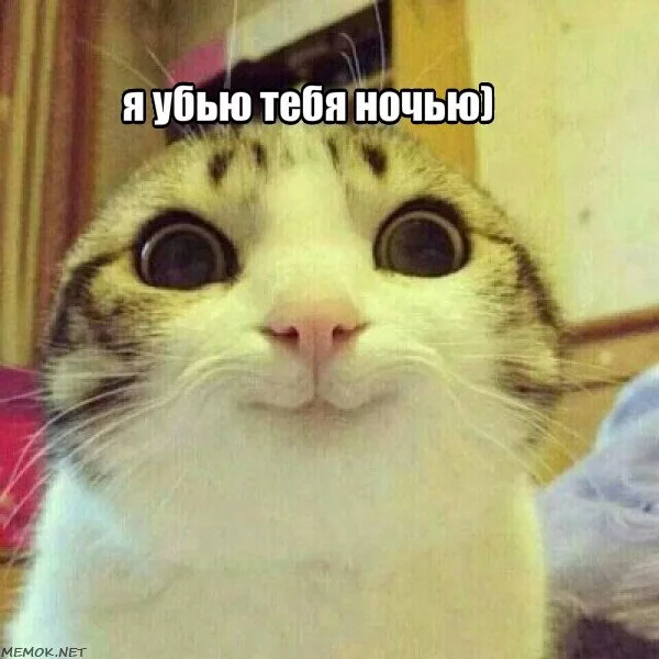 gh2fjh.webp