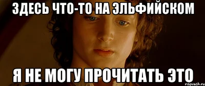 gh9hbg.webp