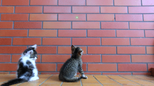 ghbg7a.gif