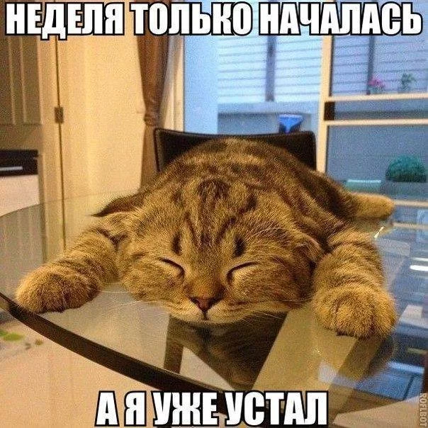 ghbgf2.webp