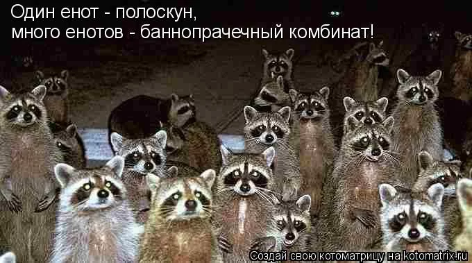ghdfg2.webp