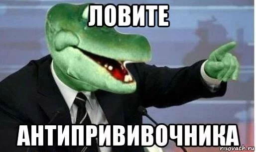 ghe8cc.webp