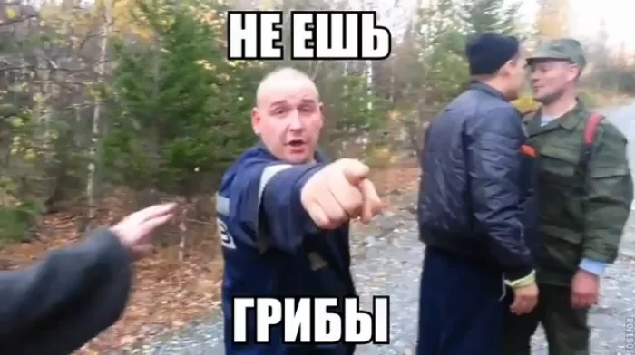 ghe8de.webp