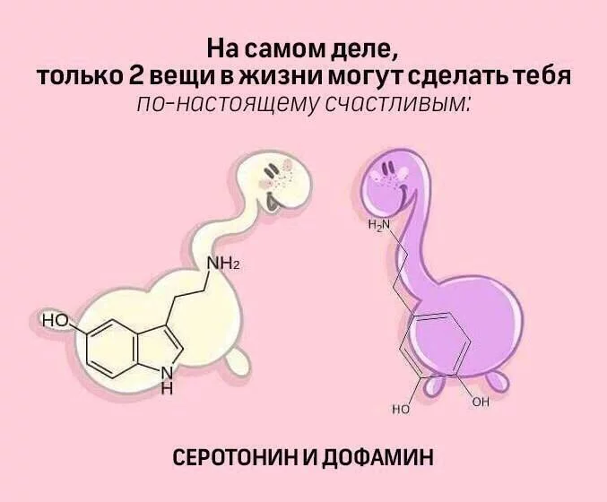 ghed1j.webp