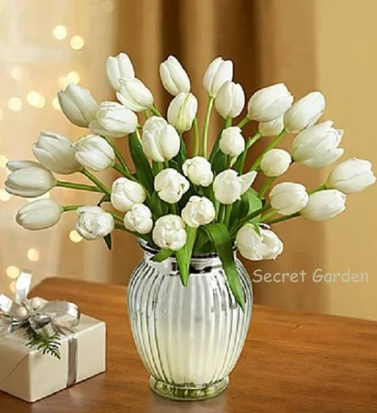 gheed6.webp