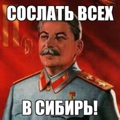 ghjf8g.webp