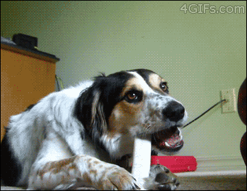 gif-09072013-009.gif