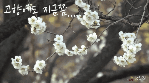 gif_camera_20190403163340.gif