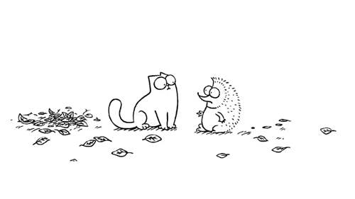 giff-027.gif