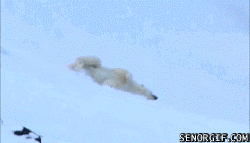 gifki_08.gif