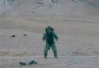gifkitanecvoennyifeericheskiidolbaeb184504.gif