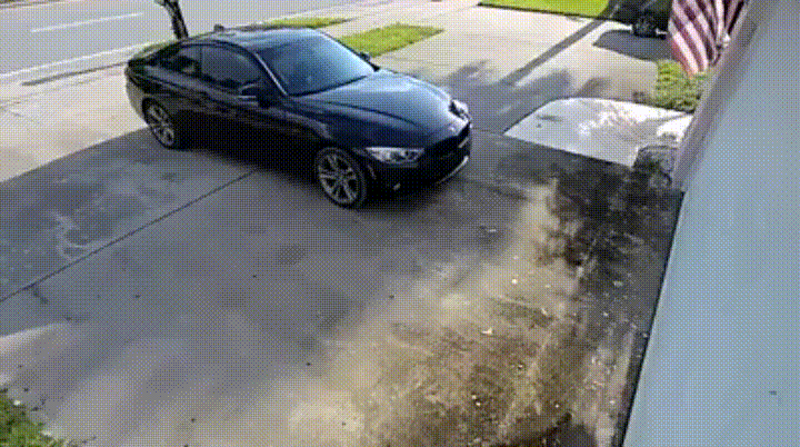 gifs-02.gif