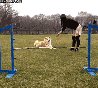 gifs_03.gif