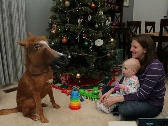 gift-title.webp