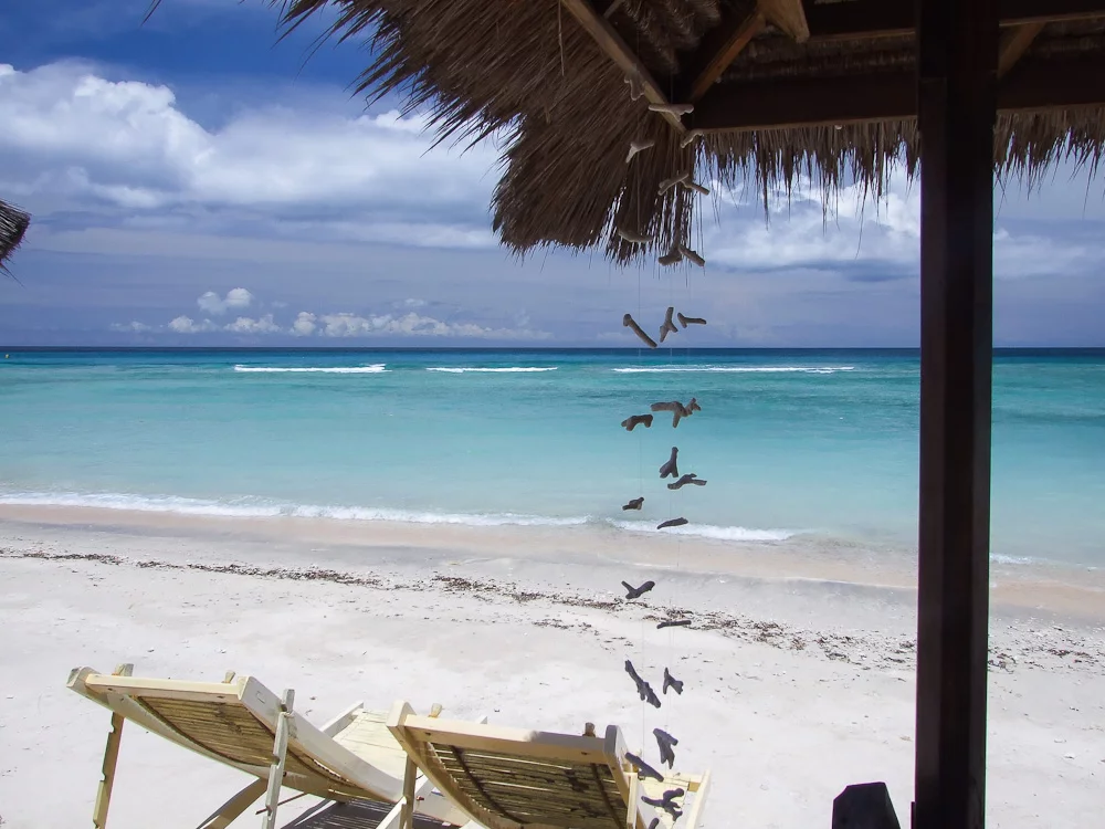 Gili.webp