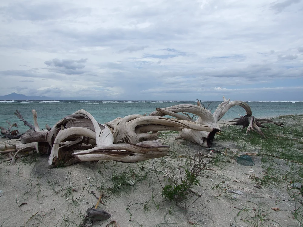 Gili2.webp