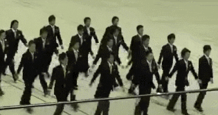 giphy.gif