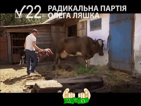giphy.gif