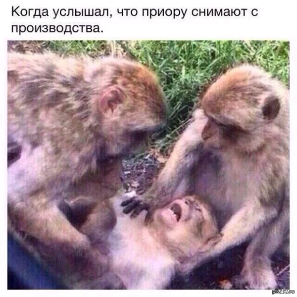 gj2bdh.webp