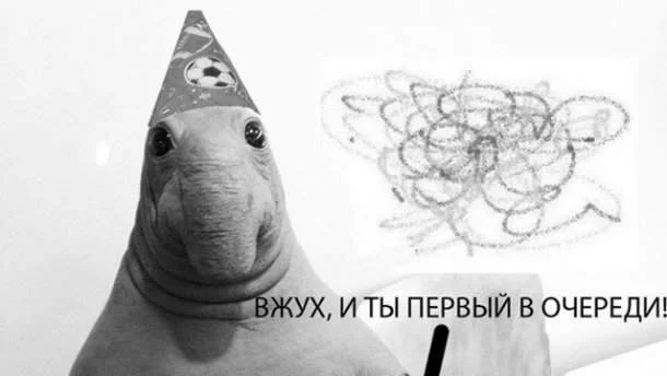 gj8jdj.webp