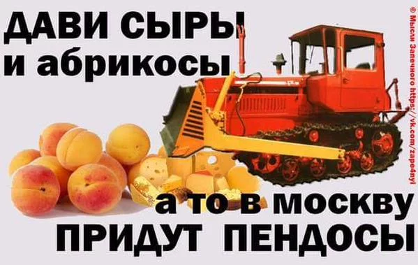 gjahd6.webp