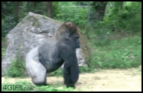 gjb4hf.gif
