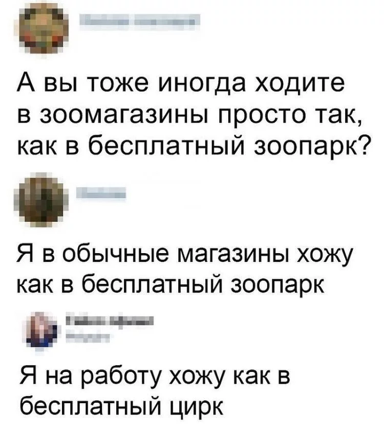 gjce8h.webp
