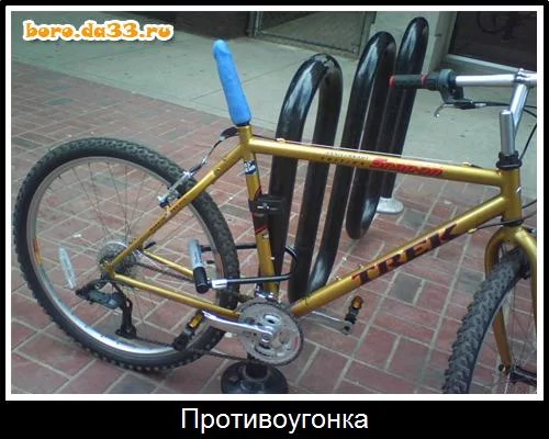 gjd1gf.webp