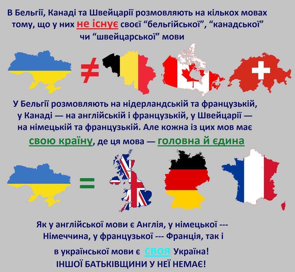 gjdgd7.jpg