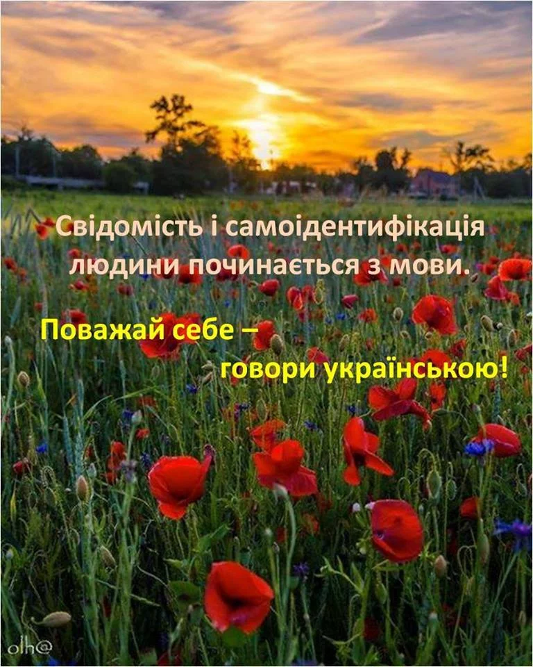 gjdj7e.webp
