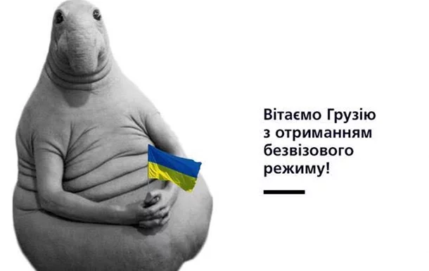 gjdjb5.webp