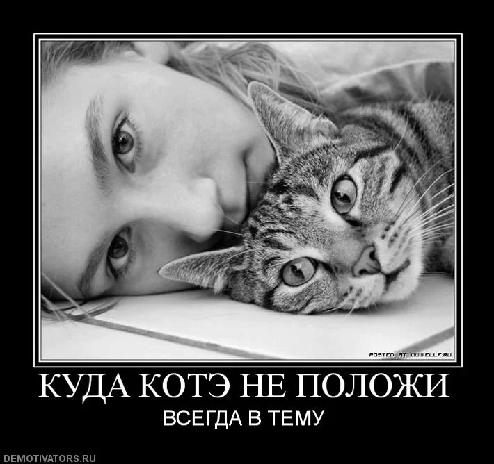 gje7eh.webp