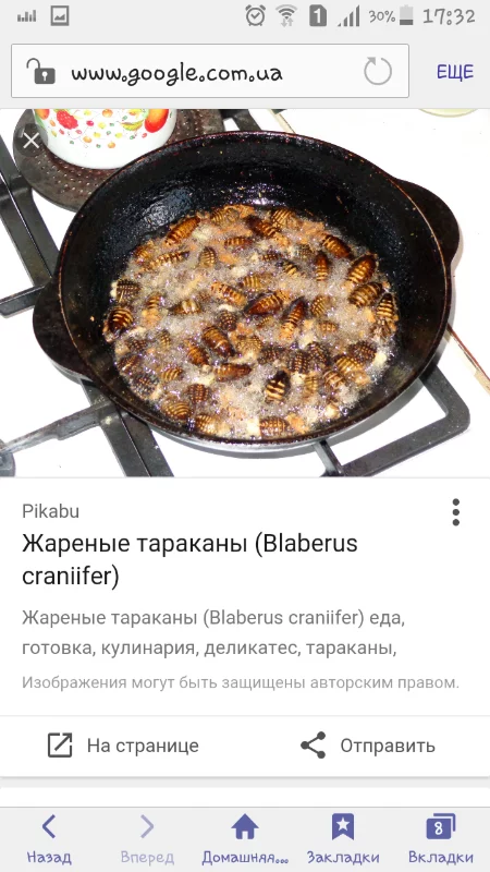 gjf1af.webp