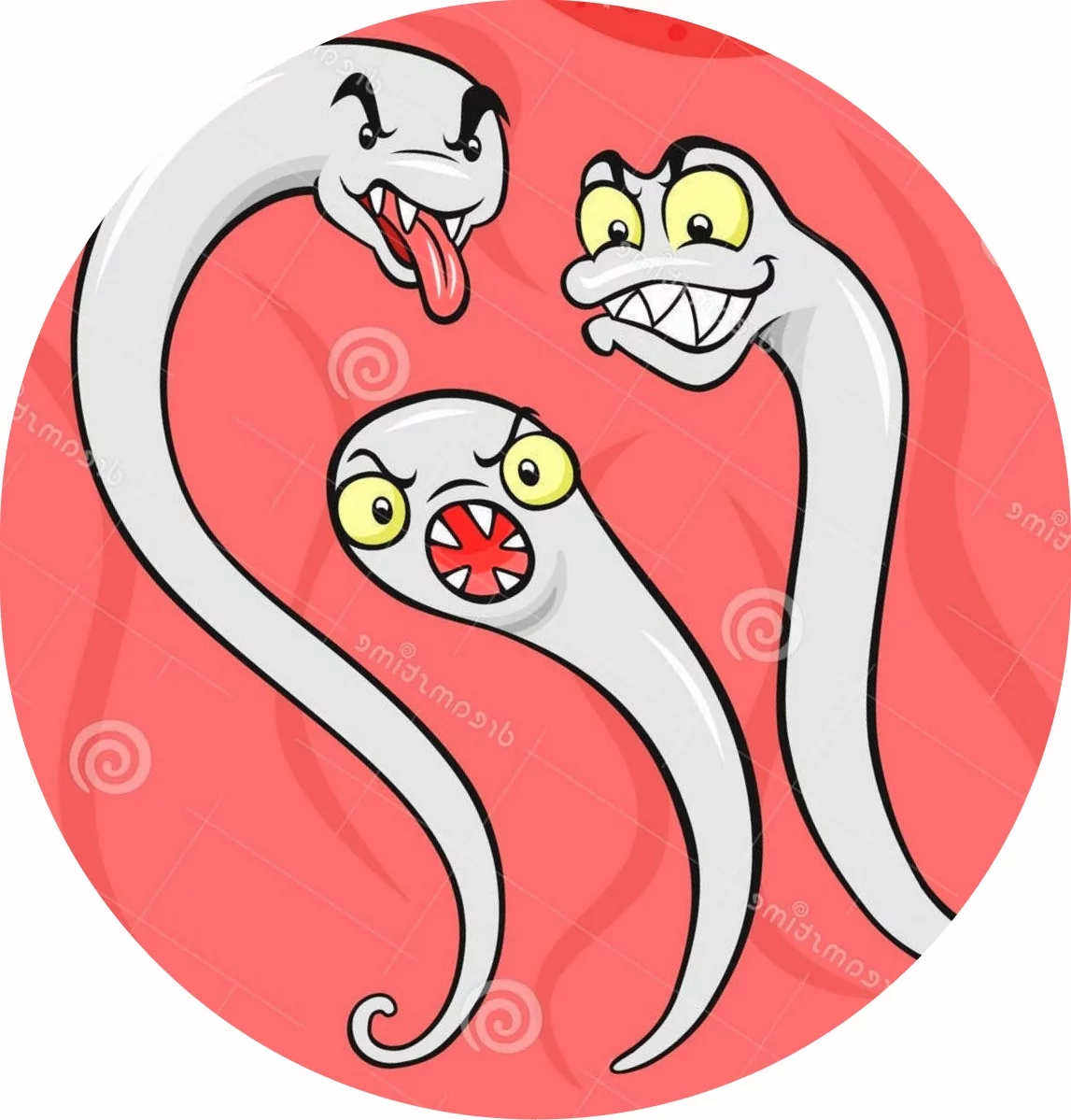gjfhf5.webp