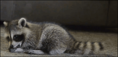 gjh8hc.gif
